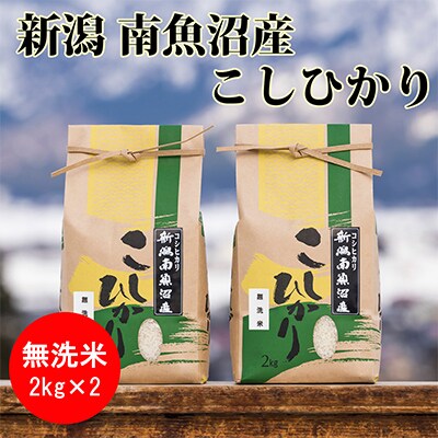2023年3月発送開始『定期便』南魚沼産コシヒカリ(無洗米)【2kg×2袋】全12回