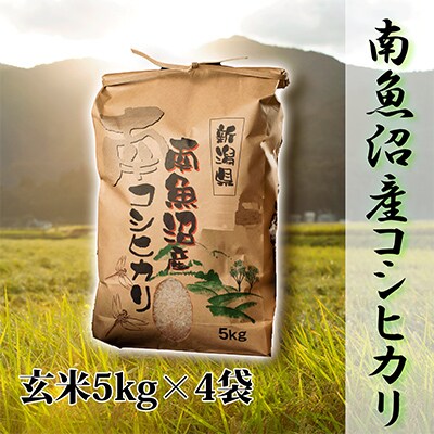 2023年5月発送開始『定期便』【高級】南魚沼産こしひかり5kg(玄米)×4袋全12回