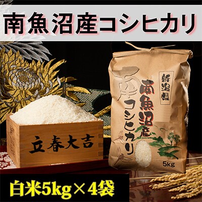 2023年5月発送開始『定期便』【高級】南魚沼産こしひかり5kg(白米)×4袋全9回