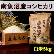 2023年5月発送開始『定期便』【高級】南魚沼産こしひかり5kg(白米)全3回 | ふるさと納税のお礼品