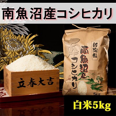 2023年3月発送開始『定期便』【高級】南魚沼産こしひかり5kg(白米)全6回