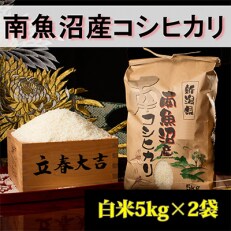 2023年5月発送開始『定期便』【高級】南魚沼産こしひかり5kg(白米)×2袋全12回