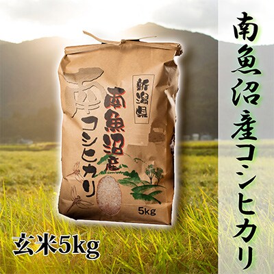 2023年3月発送開始『定期便』【高級】南魚沼産こしひかり5kg(玄米)全3回