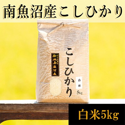 2023年3月発送開始『定期便』南魚沼産コシヒカリ(白米)【5kg】全3回