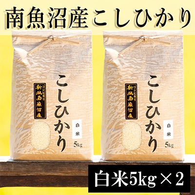 2023年3月発送開始『定期便』南魚沼産コシヒカリ(白米)【5kg×2袋】全6回