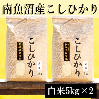 2023年3月発送開始『定期便』南魚沼産コシヒカリ(白米)【5kg×2袋】全9回