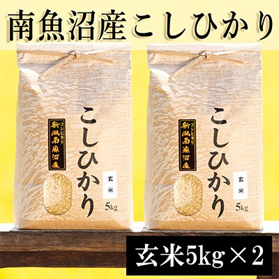 2023年3月発送開始『定期便』南魚沼産コシヒカリ(玄米)【5kg×2袋】全9回