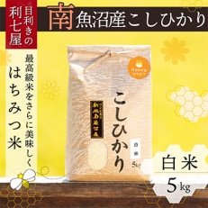 2024年2月発送開始『定期便』新潟県特A地区 南魚沼産コシヒカリ『はちみつ米』精米5kg全12回