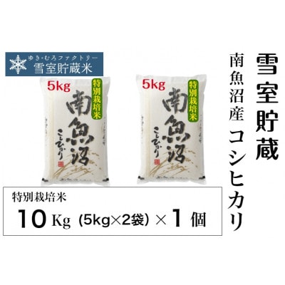 特別栽培 雪室貯蔵・南魚沼 塩沢産コシヒカリ10kg(5kg×2袋