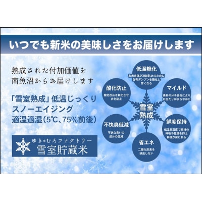 特別栽培 雪室貯蔵・南魚沼　塩沢産コシヒカリ10kg(5kg×2袋)