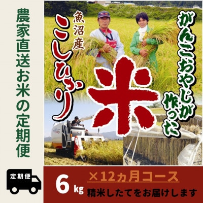 【毎月定期便】がんこおやじが作った南魚沼産コシヒカリ白米6kg(3kg×2)全12回