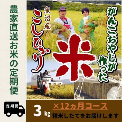 【毎月定期便】がんこおやじが作った南魚沼産コシヒカリ　白米3kg×1袋全12回