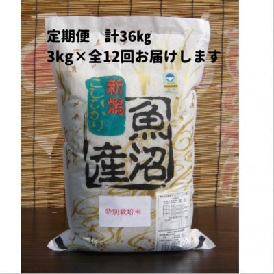 【毎月定期便】がんこおやじが作った南魚沼産コシヒカリ　白米3kg×1袋全12回