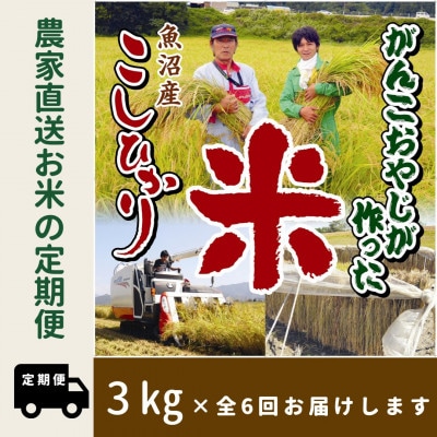 【毎月定期便】がんこおやじが作った南魚沼産コシヒカリ　白米3kg×1袋全6回