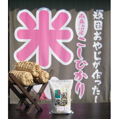 【毎月定期便】がんこおやじが作った南魚沼産コシヒカリ　白米3kg×1袋全6回