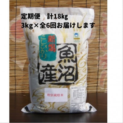 【毎月定期便】がんこおやじが作った南魚沼産コシヒカリ　白米3kg×1袋全6回