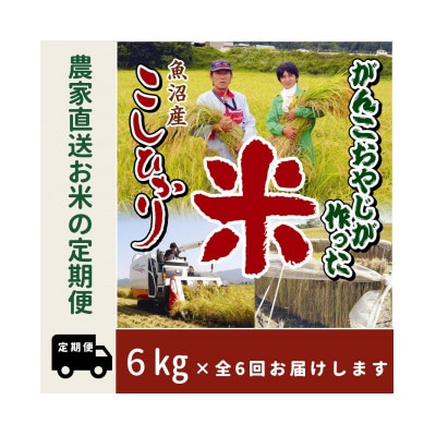 【毎月定期便】がんこおやじが作った南魚沼産コシヒカリ白米6kg(3kg×2)全6回