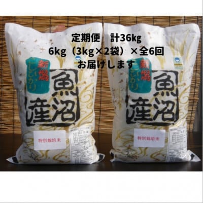 【毎月定期便】がんこおやじが作った南魚沼産コシヒカリ白米6kg(3kg×2)全6回