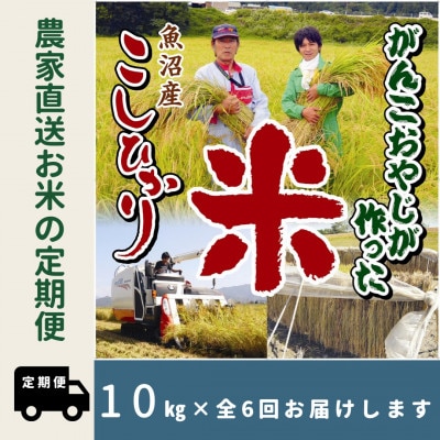 【毎月定期便】がんこおやじが作った南魚沼産コシヒカリ白米10kg全6回