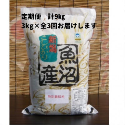 【毎月定期便】がんこおやじが作った南魚沼産コシヒカリ　白米3kg×1袋全3回