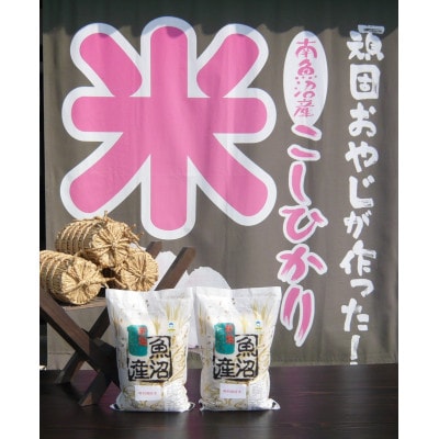 【毎月定期便】がんこおやじが作った南魚沼産コシヒカリ白米6kg(3kg×2)全3回