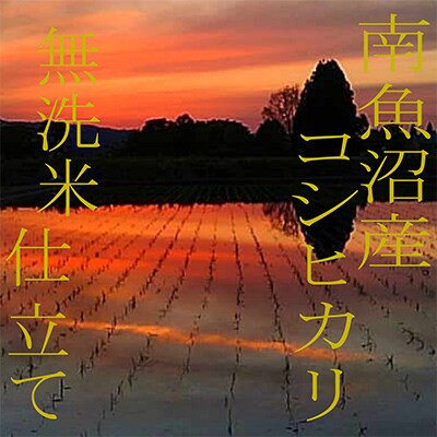 【毎月定期便】《無洗米》南魚沼産コシヒカリ2kg 全9回