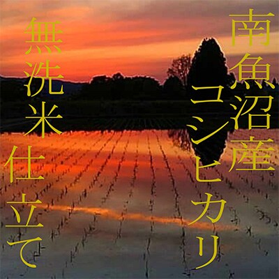 【毎月定期便】《無洗米》南魚沼産コシヒカリ6kg 全3回