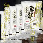 【毎月定期便】《無洗米》南魚沼産コシヒカリ10kg 全12回