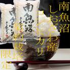 【毎月定期便】生産者限定 契約栽培 南魚沼しおざわ産コシヒカリ 精米10Kg全12回