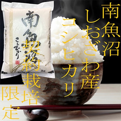 【毎月定期便】生産者限定 契約栽培 南魚沼しおざわ産コシヒカリ 精米2Kg全12回