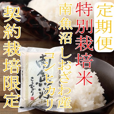 【毎月定期便】【特別栽培米2Kg】生産者限定 南魚沼しおざわ産コシヒカリ全6回