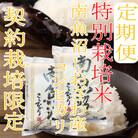 【毎月定期便】【特別栽培米4Kg】生産者限定 南魚沼しおざわ産コシヒカリ全6回