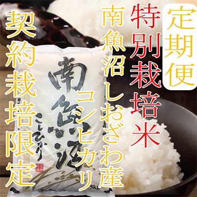 【毎月定期便】【特別栽培米5Kg】生産者限定 南魚沼しおざわ産コシヒカリ全6回