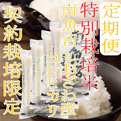 【毎月定期便】【特別栽培米8Kg】生産者限定 南魚沼しおざわ産コシヒカリ全12回