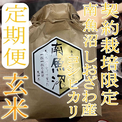 【毎月定期便】【玄米5Kg】生産者限定 南魚沼しおざわ産コシヒカリ全12回