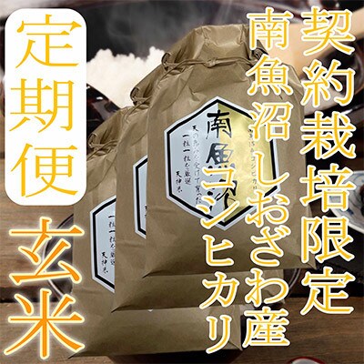 【発送月固定定期便】【玄米15Kg】生産者限定 南魚沼しおざわ産コシヒカリ全3回