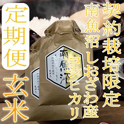 【発送月固定定期便】【玄米4Kg】生産者限定 南魚沼しおざわ産コシヒカリ全6回