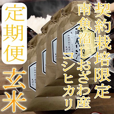 【発送月固定定期便】【玄米8Kg】生産者限定 南魚沼しおざわ産コシヒカリ全6回