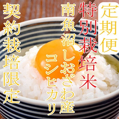 【発送月固定定期便】【特別栽培米10Kg】生産者限定 南魚沼しおざわ産コシヒカリ全3回