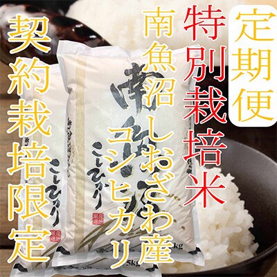 【発送月固定定期便】【特別栽培米10Kg】生産者限定 南魚沼しおざわ産コシヒカリ全9回