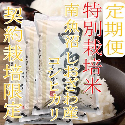 【発送月固定定期便】【特別栽培米15Kg】生産者限定 南魚沼しおざわ産コシヒカリ全6回