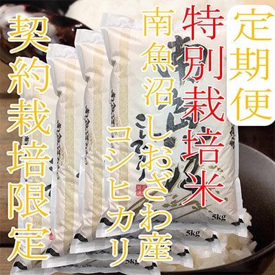 【発送月固定定期便】【特別栽培米20Kg】生産者限定 南魚沼しおざわ産コシヒカリ全3回