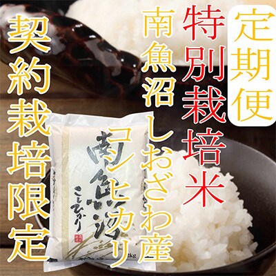 【発送月固定定期便】【特別栽培米2Kg】生産者限定 南魚沼しおざわ産コシヒカリ全9回