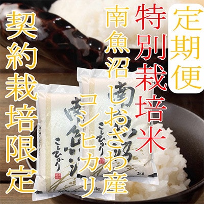 【発送月固定定期便】【特別栽培米4Kg】生産者限定 南魚沼しおざわ産コシヒカリ全6回