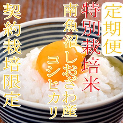 【発送月固定定期便】【特別栽培米4Kg】生産者限定 南魚沼しおざわ産コシヒカリ全6回