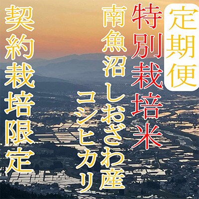 【発送月固定定期便】【特別栽培米4Kg】生産者限定 南魚沼しおざわ産コシヒカリ全6回