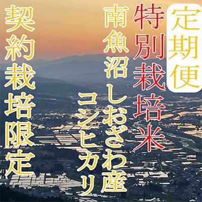【発送月固定定期便】【特別栽培米4Kg】生産者限定 南魚沼しおざわ産コシヒカリ全9回