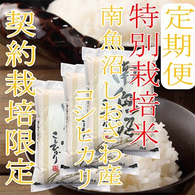 【発送月固定定期便】【特別栽培米6Kg】生産者限定 南魚沼しおざわ産コシヒカリ全9回