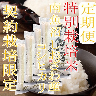 【発送月固定定期便】【特別栽培米8Kg】生産者限定 南魚沼しおざわ産コシヒカリ全6回