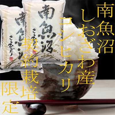 【発送月固定定期便】生産者限定 契約栽培 南魚沼しおざわ産コシヒカリ 精米10Kg全6回